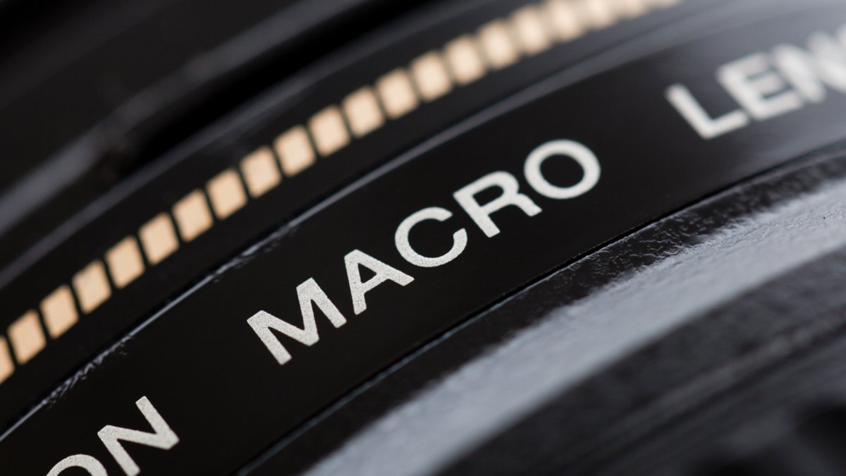 Macro vs Closeup Photography!